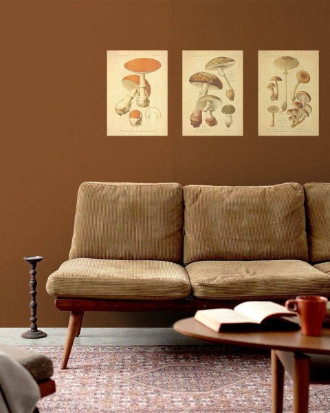 Flax Art Poster | Encyclopedia Mushroom A | FWP-AP-EN5A
